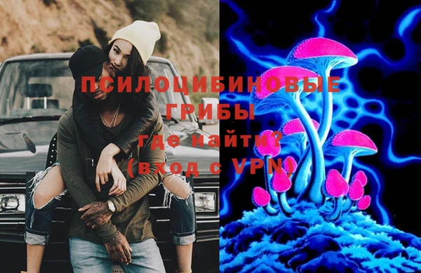 твердый Нягань