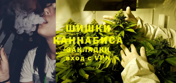 твердый Нягань